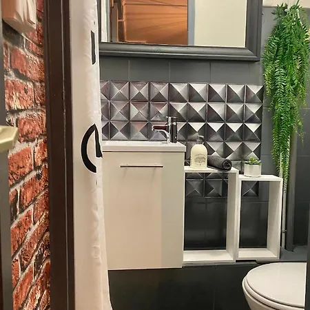 Appartement Le Charbon Dore, Train - Paris Trajet D'environ 1 Heure 10 Minutes *